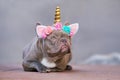French Bulldog dog dressed up as unicorn wearing beautiful headband with pastel colored flowers and golden horn