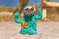 French Bulldog dog dressed up with funny cactus Halloween dog costume with fake arms and orange flowers