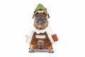 French Bulldog dog dressed up with funny traditional Bavarian `Oktoberfest` costume with Lederhosen pants, tirol hat and beer Royalty Free Stock Photo