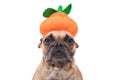 French Bulldog dog dresses up with funny Halloween pumpkin hat on white background Royalty Free Stock Photo