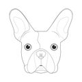 French Bulldog Dog Easy Coloring Cartoon Vector Illustration. Isolated On White Background