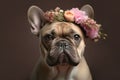 French Bulldog dog with flowers on head on brown background. Generative AI