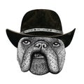 French bulldog dog head hand drawn illustration. Wild animal wearing cowboy hat Wild west