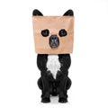 Dog with paper bag on head Royalty Free Stock Photo