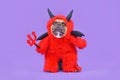 French Bulldog dog with red devil Halloween costume wearing a fluffy full body suit with fake arms holding pitchfork