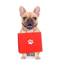 Sale shopping dog Royalty Free Stock Photo