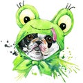French bulldog dog T-shirt graphics. french bulldog illustration with splash watercolor textured background. unusual illustratio Royalty Free Stock Photo