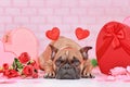 French Bulldog dog with Valentine`s day headband with hearts lying between seasonal decorations