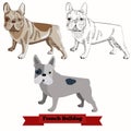 French Bulldog dog vector illustration. Royalty Free Stock Photo