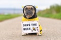 French Bulldog dog wearing bee costume with demonstration sign saying Save the bees Royalty Free Stock Photo