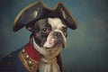 French Bulldog dog wearing pirate hat Halloween costume