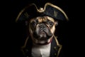 French Bulldog dog wearing pirate hat Halloween costume.