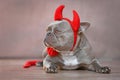 French Bulldog dog wearing red devil horns, tail and bow tie Halloween costume Royalty Free Stock Photo