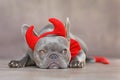 French Bulldog dog wearing red devil horns, tail and bow tie Halloween costume Royalty Free Stock Photo