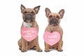 French Bulldog dogs with Valentine`s Day hearts with text `I woof you` and `Will you be mine` around necks Royalty Free Stock Photo