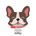 French bulldog face. Cute brown Frenchie with bunny ears. Vector