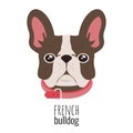 French bulldog face. Cute brown Frenchie with bunny ears. Vector