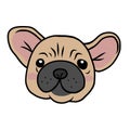 French bulldog head cartoon vector illustration