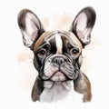 Elegant French Bulldog Cartoon Illustration In Watercolor Style Royalty Free Stock Photo