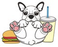 French bulldog with fast food