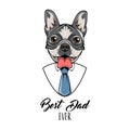 French Bulldog. Fathers day greeting card. Shirt, Necktie, Tie. Best dad ever lettering. Dog portrait. Dad gift. Vector. Royalty Free Stock Photo