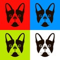 French bulldog in four different color schemes.