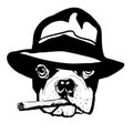 French bulldog with gangster hat and cigar