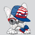 French Bulldog In Glasses And A Cap. Print On Clothes. Cute Puppy.