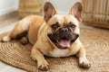 french bulldog with a happy snort, lying on a soft rug