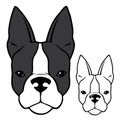 French bulldog head