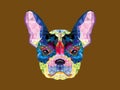 French bulldog head in geometric pattern