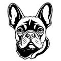 Cute French bulldog head hand drawn sketch in Comic style coloring book,Pets Royalty Free Stock Photo