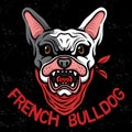 French bulldog head logo esport illustrator Royalty Free Stock Photo