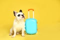 French bulldog with little suitcase on yellow background.