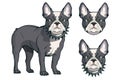 French bulldog, pet logo, dog french bulldog, colored pets for design, french bulldog puppy, colour illustration suitable as logo