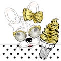 French bulldog with a portion of ice cream. Vector illustration.