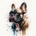 French bulldog portrait with grunge background. Digital painting. Vector illustration.