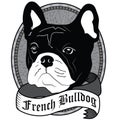 French Bulldog Portrait. Isolated Vector dog Illustration