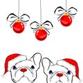 French bulldog Portrait in a Santa`s hat . Vector illustration.