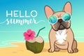 French bulldog puppy wearing reflective sunglasses on a sandy beach, ocean in background, coconut drink, Hello Summer text. Funny Royalty Free Stock Photo