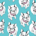 French bulldog seamless pattern on white background. Vector illustration. Hand drawn funny dogs with blue eyes. Royalty Free Stock Photo