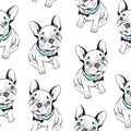 French bulldog seamless pattern on white background. Vector illustration. Hand drawn funny dogs with blue eyes. Royalty Free Stock Photo