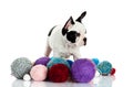 French bulldog with threadballs isolated on white background