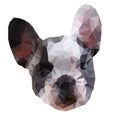 French Bulldog triangular. Low poly. Vector illustration.