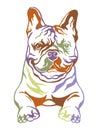 French bulldog vector color contour portrait vector