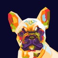 French bulldog in wpap pop art