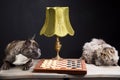 French bulldogplaying checkers with persian cat on black