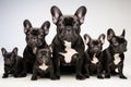 French bulldogs family portrait. Generative AI