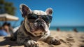 French Bulldogs relaxing at the beach with cool sunglasses, beach umbrella Royalty Free Stock Photo
