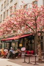 French cafe terrace Royalty Free Stock Photo